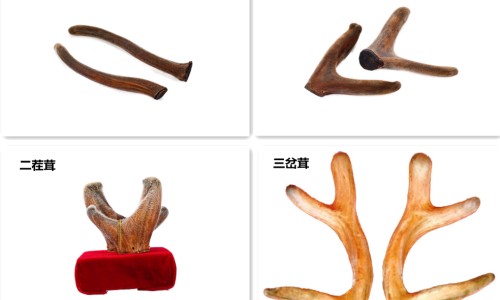 身上长癣会印到脸上吗-身上长癣会印到脸上吗网 | 身上长癣会痒吗,身上长癣会痒吗